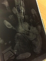MonkeyPrintedTheNEWiPad_2018 (1)